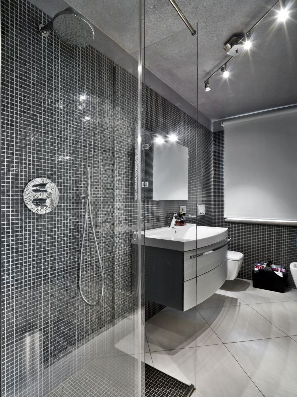 Sleek Shower with Modern Fixtures